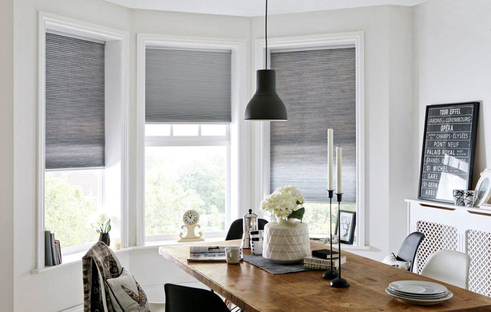 Rol-lite pleated blinds at Millichap's