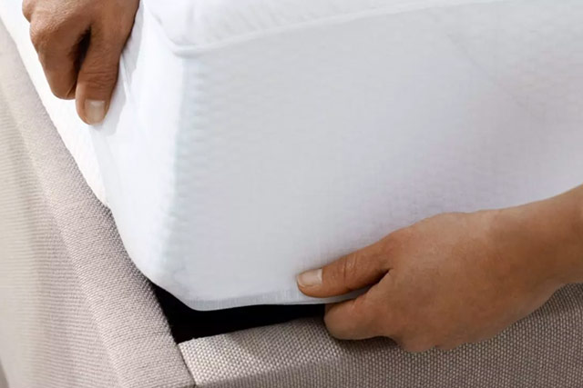 Tempur Mattress protector at Millichap's