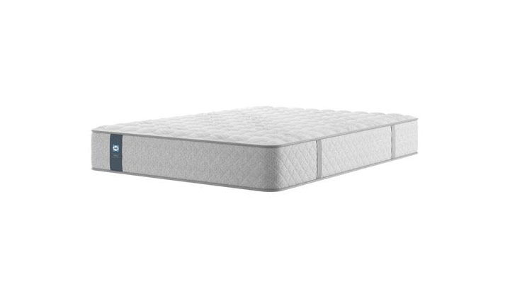 Sealy Dynamic Mattress